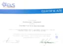 Certified Front End Web Development badge