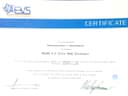 Certified Mern Stack Web Developer badge